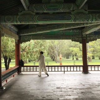 Jour 23 : Temple du Ciel et pluie pluie pluie 🌧⛈☔️