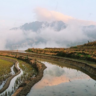 Jour 43 : balade(s) dans les rizières de Yuanyang 🌾🍚❤️