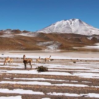 Jour 280 : Sud Lipez ➡️ San Pedro de Atacama ! Rebonjour le Chili !