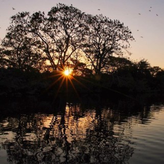 Jour 313 : Pantanal jour 2, balade à cheval, pêche aux piranhas et bateau 🐴🐠🐥