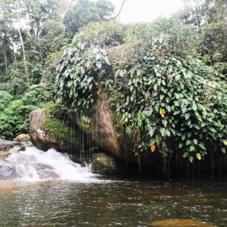 Jour 321 : La cascade de Tarzan 🌴 et sinon pluie pluie pluie 🙄